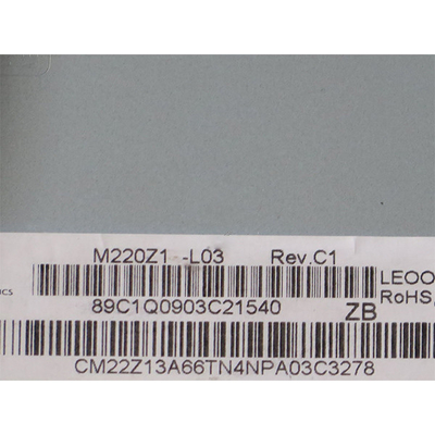Εικονική οθόνη LCD 22 ιντσών