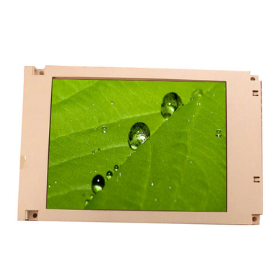 SP14Q002-C1 Δείκτης οθόνης LCD τύπου 5.0V σχεδιασμένος για τη βιομηχανία