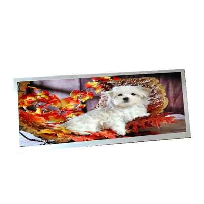 Για AUO C123HAN02.5 12.3 ιντσών 40 πιν LCD οθόνη
