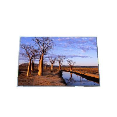 RGB 1440*900 B170PW03 V9 99PPI Πίνακας LCD TFT