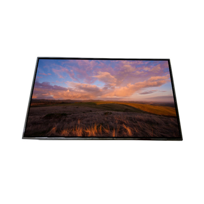 AV101HDM-N10 10,1 ιντσών οθόνη LCD LCD