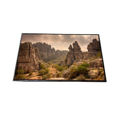 AV101HDM-N11 10,1 ιντσών οθόνη LCD οθόνη LCD ΜΟΔΥΛΟ