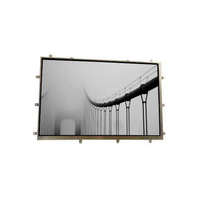 BP101WX1-204 10,1 ιντσών οθόνη LCD MODULE LCD PANEL για Tablet