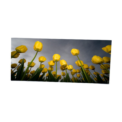 LM340WW2-SSD1 34,0 ιντσών 2560*1080 οθόνη LCD
