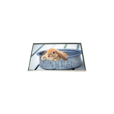 LP173WD1-TLH5 17,3 ιντσών 60Hz LCD οθόνη οθόνης για φορητό υπολογιστή