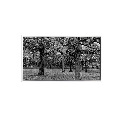 GV185FHM-N10-DM30 1920*1080 Οθόνη LCD 18,5 ιντσών ΓΙΑ Βιομηχανική