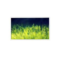 12.1 ίντσες RV121X0M-N01 1024*768 500 cd/m2 Εικονική οθόνη LCD LVDS