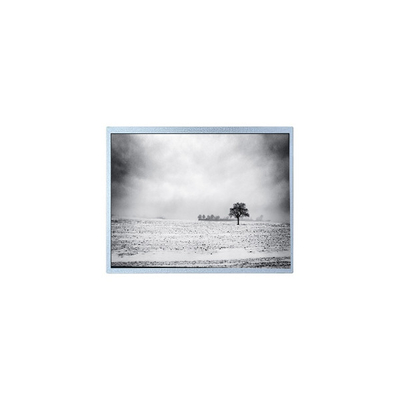 νέο PW080XU4 480*220 8,0 ιντσών 60Hz 30 πιν LCD οθόνη Πίνακα