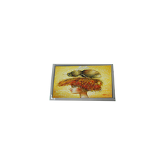 Αρχική οθόνη 800*480 AM-800480R3TMQW-A1H-F 7.0 ιντσών LVDS 400:1 TFT-LCD