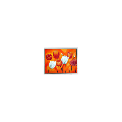T-55644D090J-LW-A-AAN 9,0 ιντσών 1280*768 οθόνη LCD για βιομηχανική χρήση