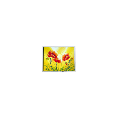800*480 T-55711D080J-LW-A-AAN 8,0 ιντσών 1000 cd/m2 LCD οθόνη