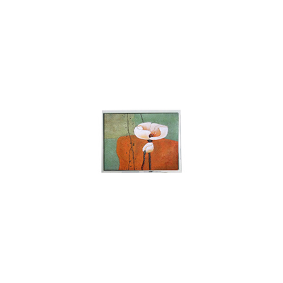 10.4 ίντσες T-55787GD104J-LW-AHN LCD οθόνη για εξωτερική υψηλή φωτεινότητα