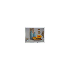 10.4 ίντσες οθόνη LCD TCG104SVLQ*PNN-AN*55 800*600 LVDS διεπαφή