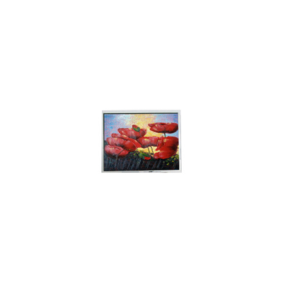 5.7 ιντσών 320*240 EW50352BCW LCD οθόνης LCD