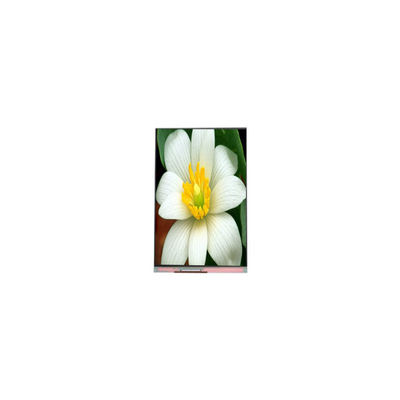 PJ052IC-01C 5,2 ιντσών 1080*1920 οθόνη LCD Πίνακα οθόνης