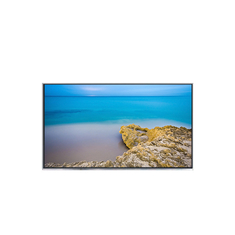 B121EW10 V1 12,1 ιντσών κατασκευαστής οθονών LCD