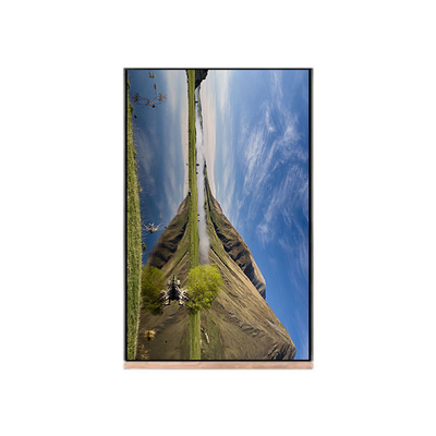 NV103WUM-N61 10,3 ιντσών 1200*1920 οθόνη LCD για Tablet Pad