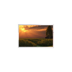 P215HAN02.0 ΚΕΛΟΣ 21,5 ιντσών 1920*1080 Μοντέλο οθόνης LCD