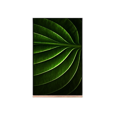 Εικονική οθόνη LCD 10,1 ιντσών για την οθόνη LCD NV101WUM-N53