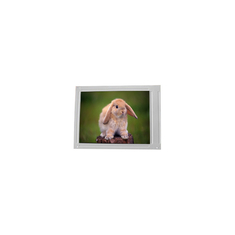 F055A25-604 5.5 ιντσών 720*1440 οθόνη οθόνης LCD