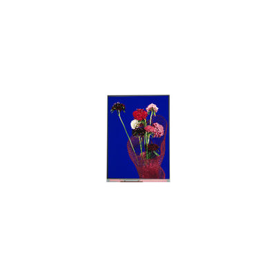 5.4 ιντσών C054SWR6-0 540 * 1132 LCD οθόνη για το τηλέφωνο