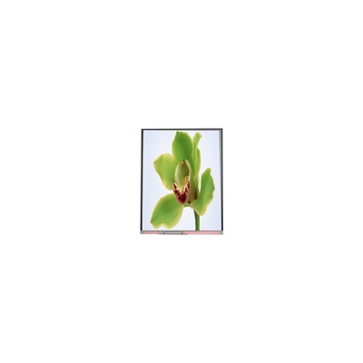 5.0 ιντσών οθόνη TFT LCD 480*854 C050SWYG-3