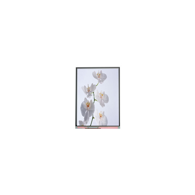C060SWR6-1 6,0 ιντσών 720*1528 οθόνη LCD