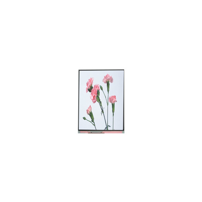 C060SWA3-3 6,0 ιντσών 720*1280 LCD οθόνη για τηλέφωνο