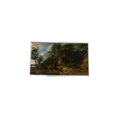 Δείκτης οθόνης LTM340YP03-Q04 34,0 ιντσών 3440*1440 TFT-LCD