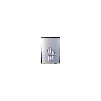 LS038Y7DX01 3,8 ιντσών 480*800 οθόνη LCD