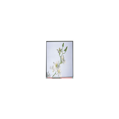 C060SWZ1-0 ΝΕΟ 6,0 ιντσών 540*960 οθόνη LCD