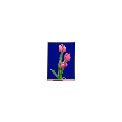 C055SWF4 R0 LCD Μοντέλο 5,5 ιντσών TFT LCD οθόνη