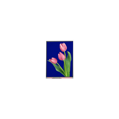 Νέα 5,4 ιντσών οθόνη LCD C054SWZ4-1 540*960