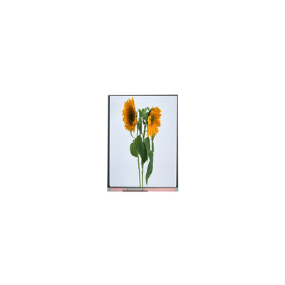 9.0 ιντσών IVO οθόνη LCD C090SWT3-0 1024*600 μονάδες οθόνης LCD
