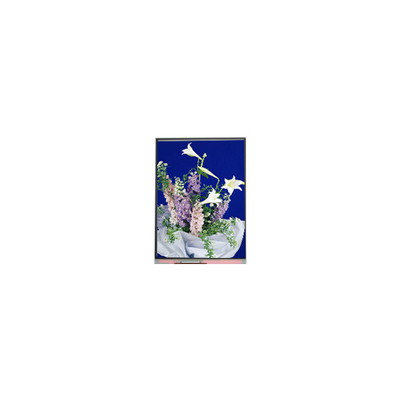 C054SWN1 R0 tft LCD οθόνη οθόνης 5,4 ιντσών LCD πάνελ