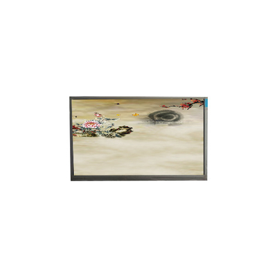 P236MWF2 R0 23.6 ιντσών 1920*1080 οθόνη TFT-LCD