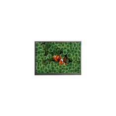 AT080TN62 V.1 Οθόνη LCD 8,0 ιντσών 800*480 60Hz LCD