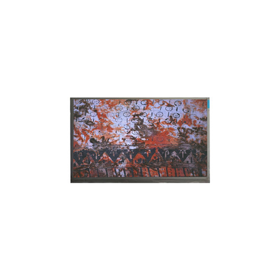 Εικονική οθόνη LCD 14,0 ιντσών 1366*768 LCD Display Panel
