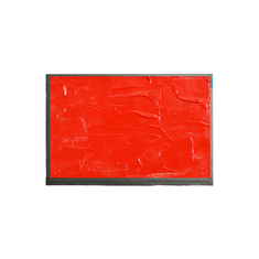M190A1-L001 19.0 ιντσών LCD οθόνη 1440*900 LCD οθόνη