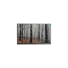 MT200LW01 V.0 20,0 ιντσών 30 πιν LCD οθόνη