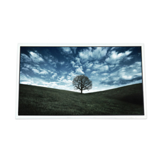 HT236F01-100 1920*1080 23.6 ιντσών οθόνη LCD