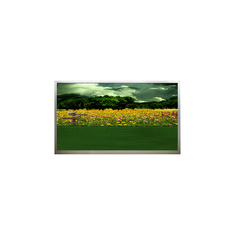 15.6 ιντσών N156B3-L01 1366*768 60Hz οθόνη LCD σε αποθέματα