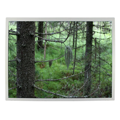 Καλή τιμή 12,1 βιομηχανική LCD TFT ίντσας 82ppi LCD επίδειξη οθόνης LQ121S1LG79 σε απευθείας σύνδεση