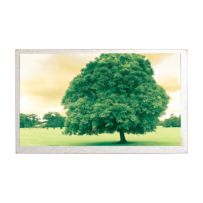 Καλή τιμή Νέα αρχική ναυσιπλοΐα 8,0 ΠΣΤ αυτοκινήτων επιτροπή οθόνης επίδειξης ίντσας TFT Hannstar HSD080IDW1-C01 LCD σε απευθείας σύνδεση