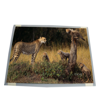 Καλή τιμή Για το AUO T150XG01 V2 15.0 ιντσών LCD Display Panel σε απευθείας σύνδεση