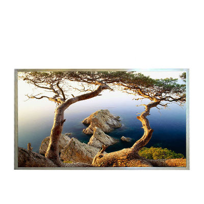 Καλή τιμή B121EW09 V3 HW0A 1280*800 12,1 ιντσών Πίνακα οθόνης TFT-LCD σε απευθείας σύνδεση