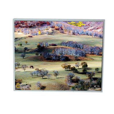 Καλή τιμή Δείκτης LCD LM200WD1-TLA9 20,0 ιντσών 1600*900 σε απευθείας σύνδεση