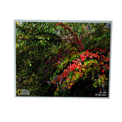 Καλή τιμή LM201U1-A3 20,1 ιντσών 1600*1200 LCD οθόνες σε απευθείας σύνδεση