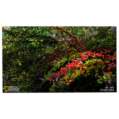 Καλή τιμή LM238WF5-SSE5 Νέα οθόνη LCD για HP Pavilion 24-Df0014 σε απευθείας σύνδεση