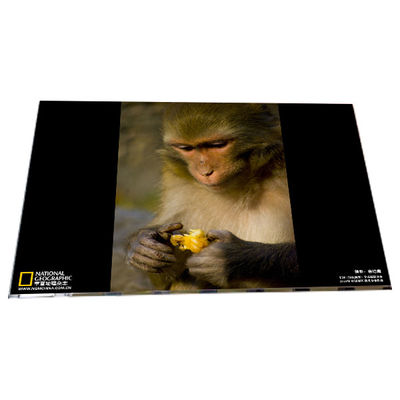 Καλή τιμή LM238WF6-SSA1 1920*1080 23,8 ιντσών TFT LCD οθόνη μονάδες πάνελ σε απευθείας σύνδεση